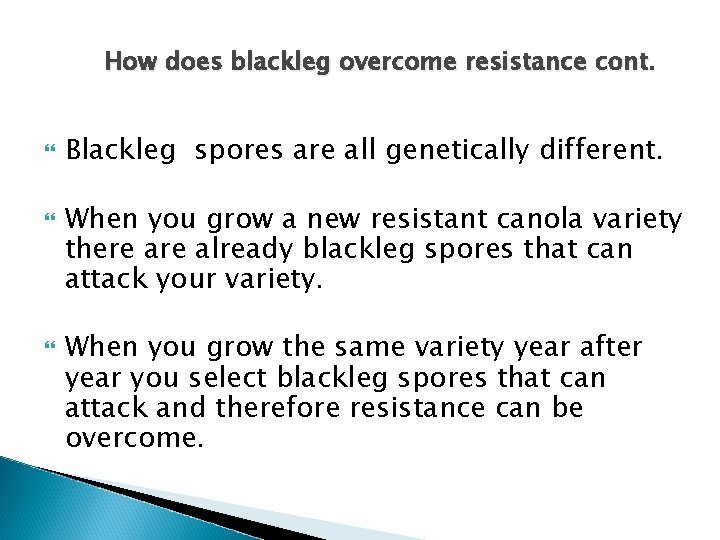 How does blackleg overcome resistance cont. Blackleg spores are all genetically different. When you