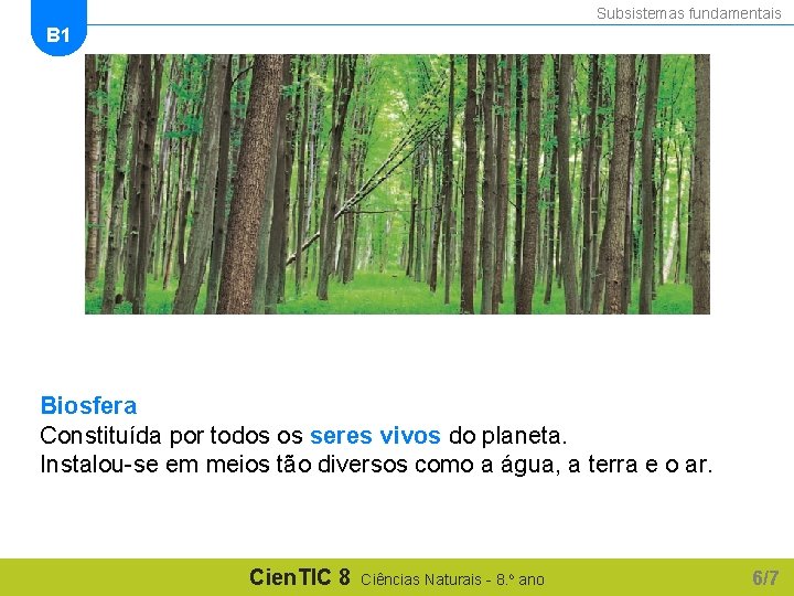 Subsistemas fundamentais B 1 Biosfera Constituída por todos os seres vivos do planeta. Instalou-se