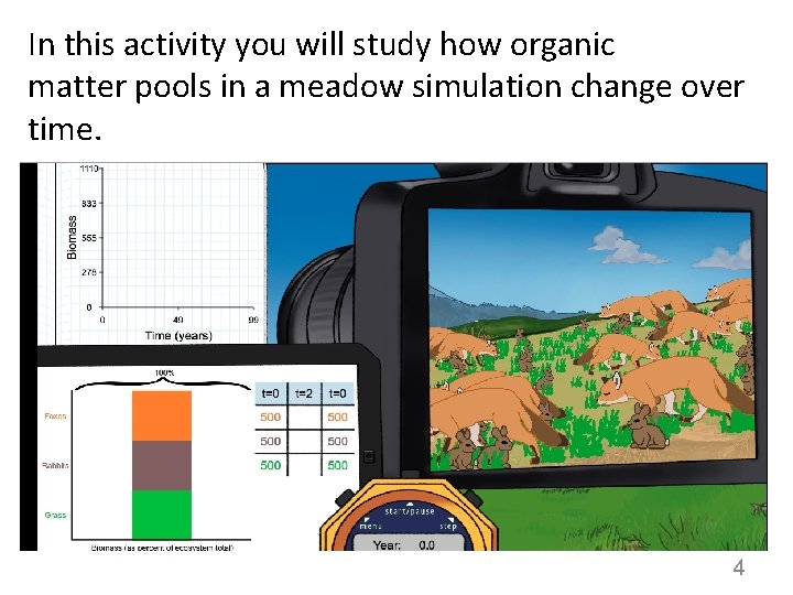 In this activity you will study how organic matter pools in a meadow simulation