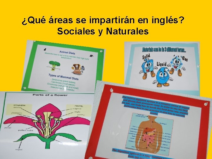 ¿Qué áreas se impartirán en inglés? Sociales y Naturales 