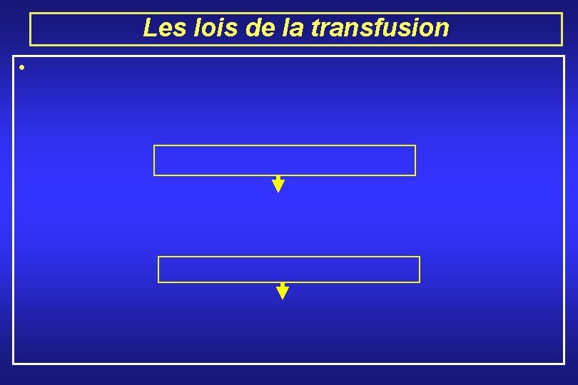 Les lois de la transfusion • 