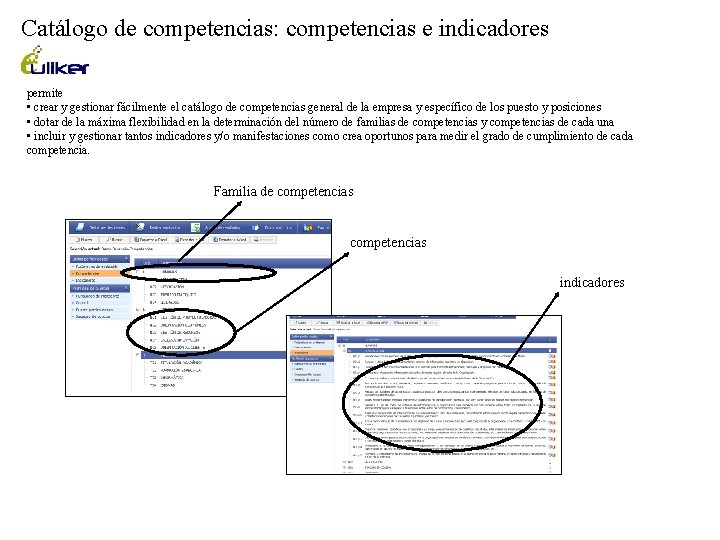 Catálogo de competencias: competencias e indicadores permite • crear y gestionar fácilmente el catálogo