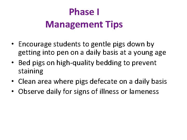 Phase I Management Tips • Encourage students to gentle pigs down by getting into