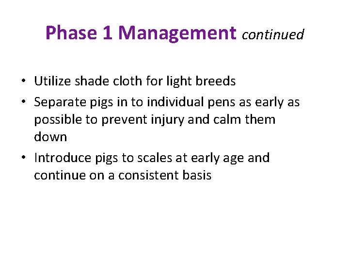 Phase 1 Management continued • Utilize shade cloth for light breeds • Separate pigs