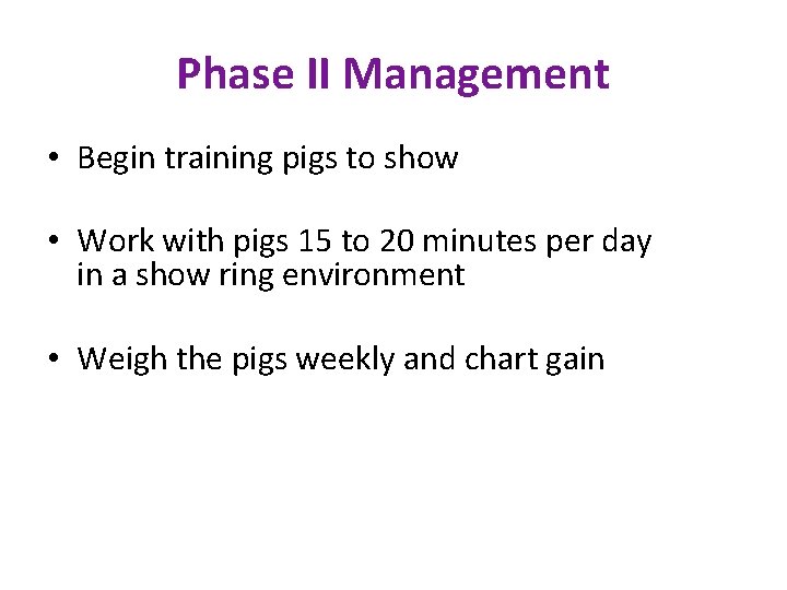 Phase II Management • Begin training pigs to show • Work with pigs 15