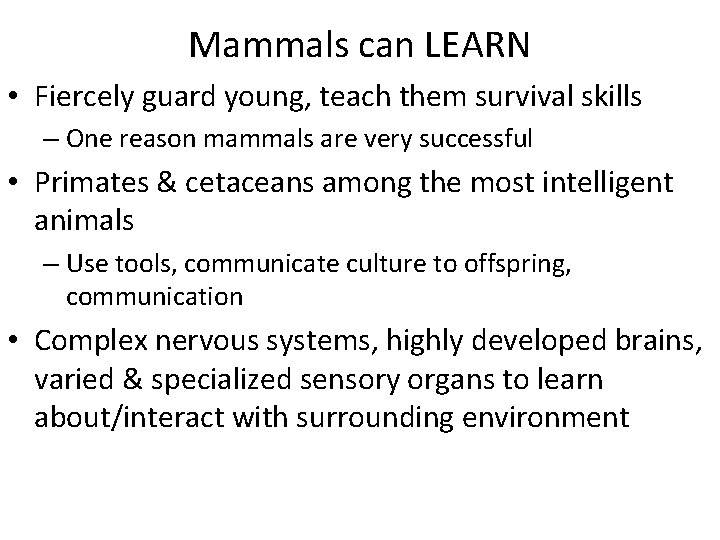 Mammals can LEARN • Fiercely guard young, teach them survival skills – One reason