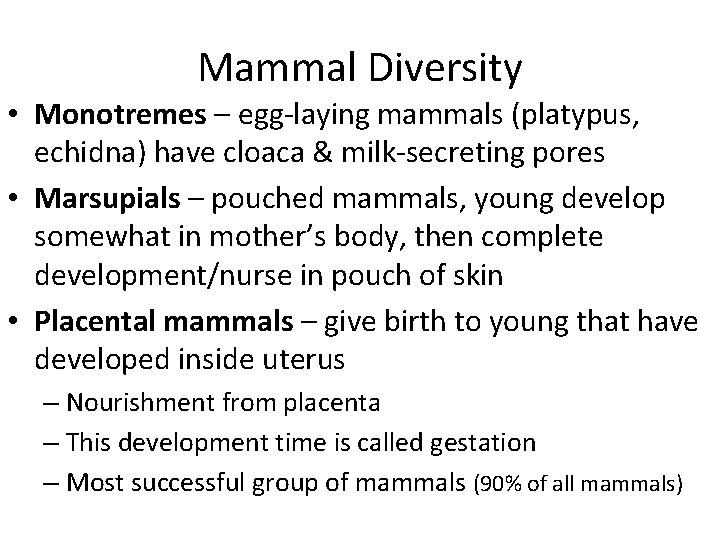 Mammal Diversity • Monotremes – egg-laying mammals (platypus, echidna) have cloaca & milk-secreting pores