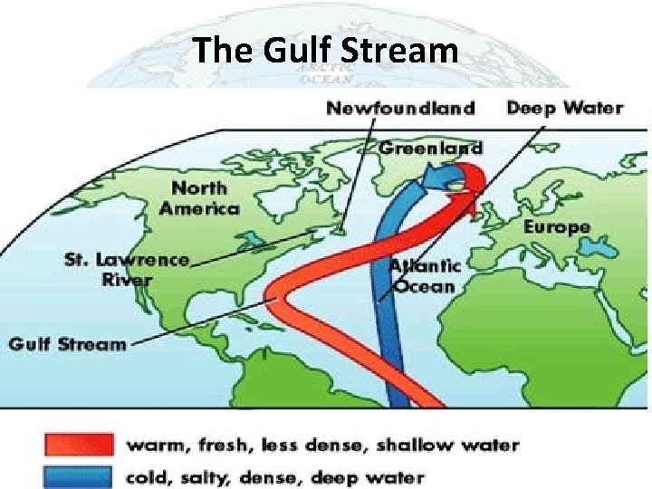 The Gulf Stream 