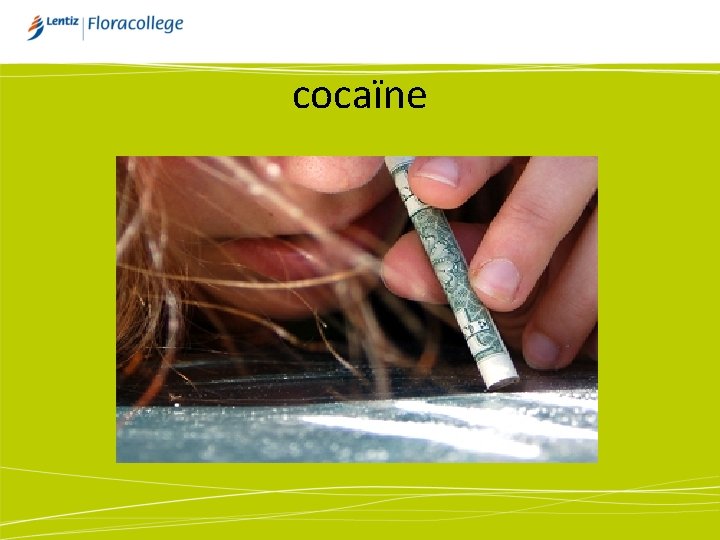 cocaïne 