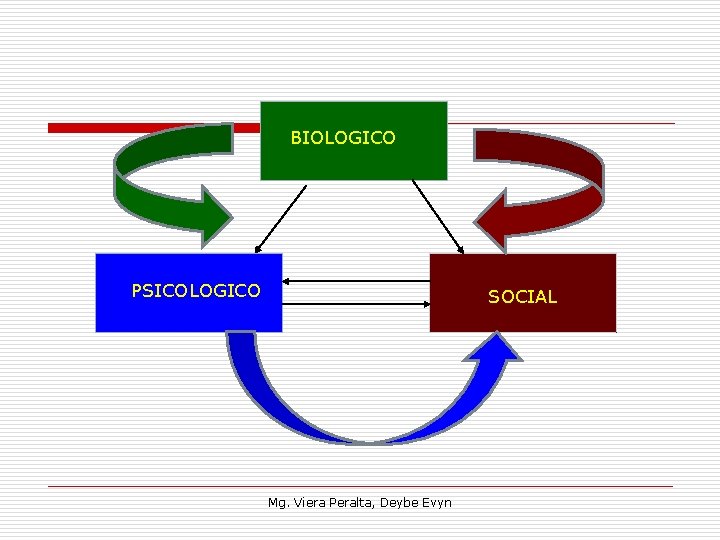 BIOLOGICO PSICOLOGICO SOCIAL Mg. Viera Peralta, Deybe Evyn 