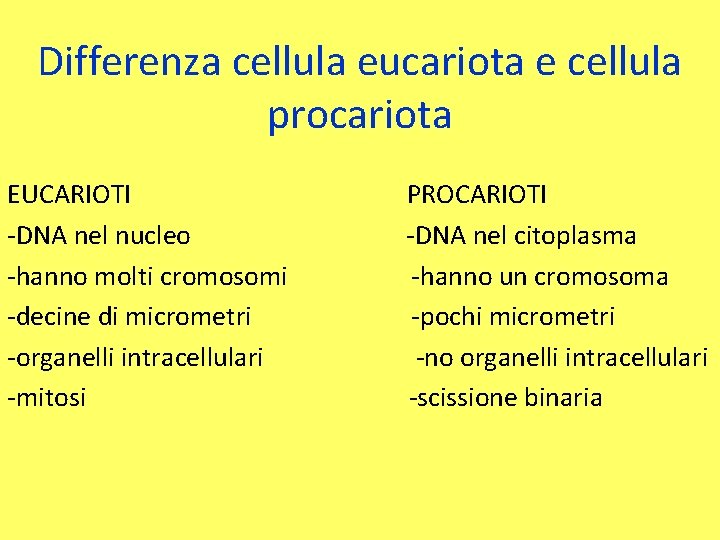 Differenza cellula eucariota e cellula procariota EUCARIOTI -DNA nel nucleo -hanno molti cromosomi -decine