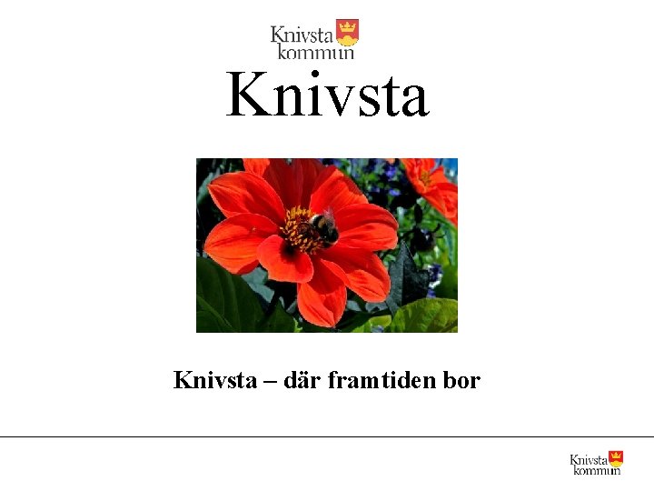 Knivsta – där framtiden bor 