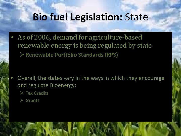Bio fuel Legislation: State • As of 2006, demand for agriculture-based renewable energy is