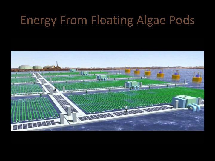 Energy From Floating Algae Pods 