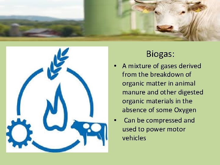 Biogas: • A mixture of gases derived from the breakdown of organic matter in