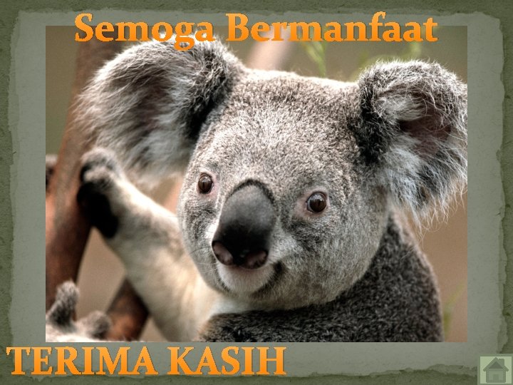 Semoga Bermanfaat TERIMA KASIH 