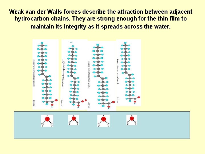 Weak van der Walls forces describe the attraction between adjacent hydrocarbon chains. They are