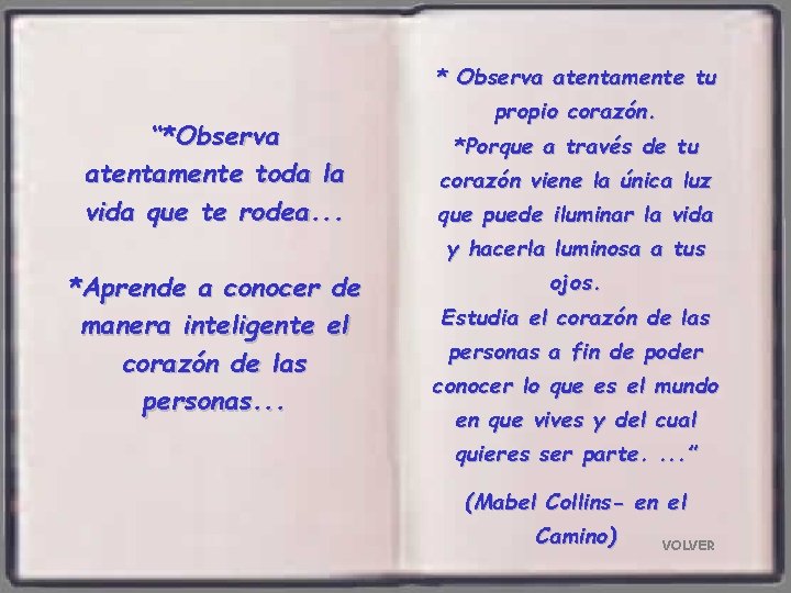 * Observa atentamente tu “*Observa atentamente toda la vida que te rodea. . .