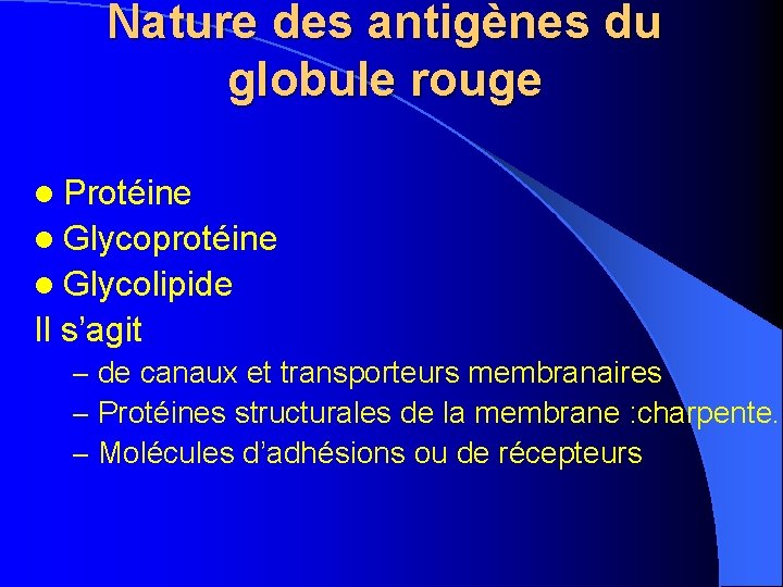 Nature des antigènes du globule rouge l Protéine l Glycoprotéine l Glycolipide Il s’agit