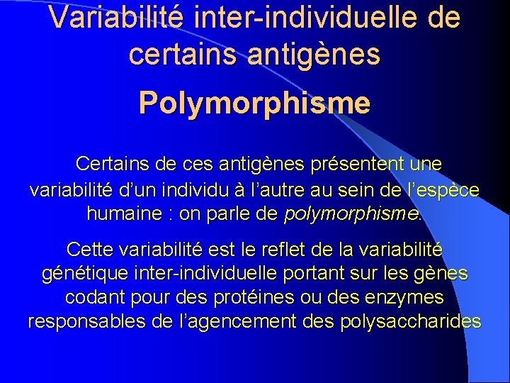 Variabilité inter-individuelle de certains antigènes Polymorphisme Certains de ces antigènes présentent une variabilité d’un