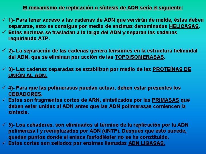 El mecanismo de replicación o síntesis de ADN sería el siguiente: ü 1)- Para