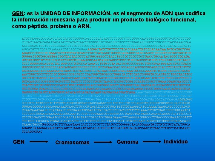 GEN: es la UNIDAD DE INFORMACIÓN, es el segmento de ADN que codifica la