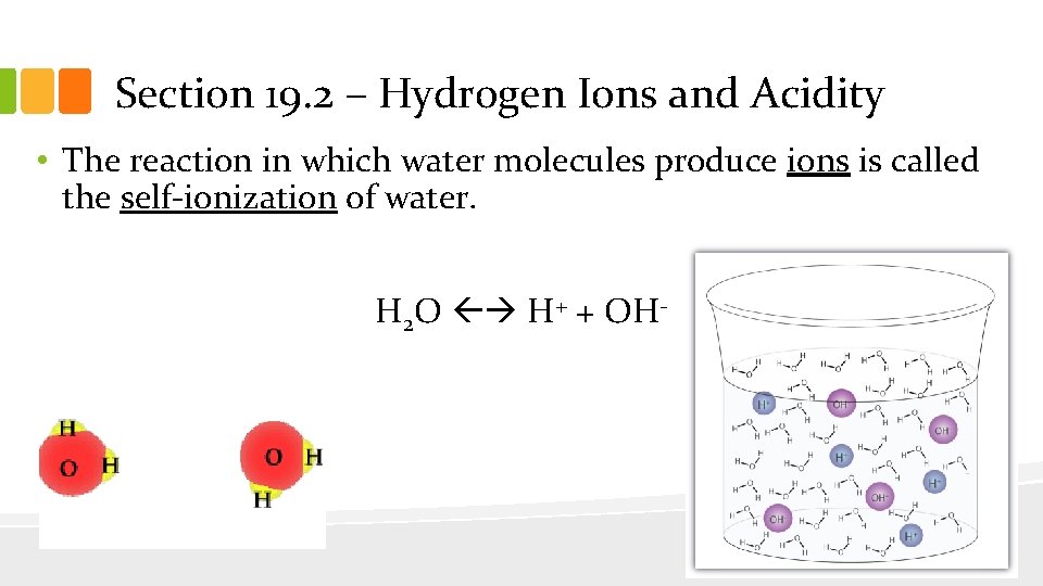 Section 19. 2 – Hydrogen Ions and Acidity • The reaction in which water