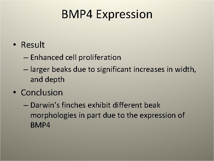 BMP 4 Expression • Result – Enhanced cell proliferation – larger beaks due to