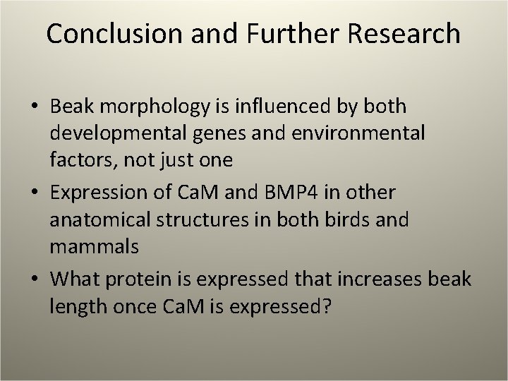 Conclusion and Further Research • Beak morphology is influenced by both developmental genes and