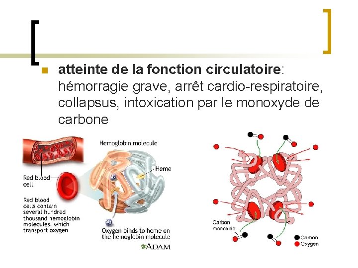 n atteinte de la fonction circulatoire: hémorragie grave, arrêt cardio-respiratoire, collapsus, intoxication par le