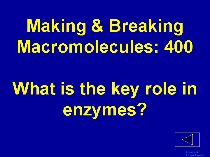 Making & Breaking Macromolecules: 400 What is the key role in enzymes? Template by