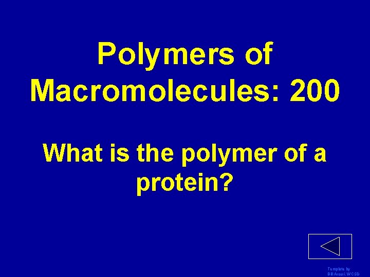 Polymers of Macromolecules: 200 What is the polymer of a protein? Template by Bill