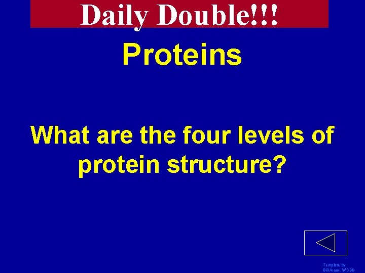 Daily Double!!! Proteins What are the four levels of protein structure? Template by Bill