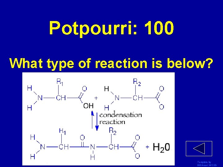 Potpourri: 100 What type of reaction is below? Template by Bill Arcuri, WCSD 