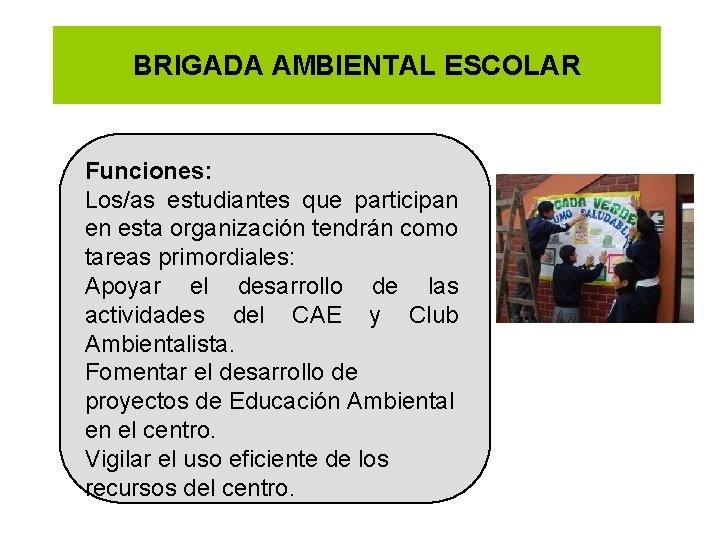 BRIGADA AMBIENTAL ESCOLAR Funciones: Los/as estudiantes que participan en esta organización tendrán como tareas BRIGADA AMBIENTAL ESCOLAR Funciones: Los/as estudiantes que participan en esta organización tendrán como tareas
