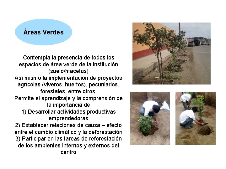 Áreas Verdes Contempla la presencia de todos los espacios de área verde de la Áreas Verdes Contempla la presencia de todos los espacios de área verde de la