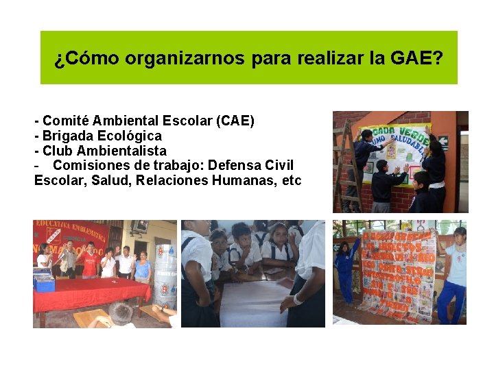 ¿Cómo organizarnos para realizar la GAE? - Comité Ambiental Escolar (CAE) - Brigada Ecológica ¿Cómo organizarnos para realizar la GAE? - Comité Ambiental Escolar (CAE) - Brigada Ecológica