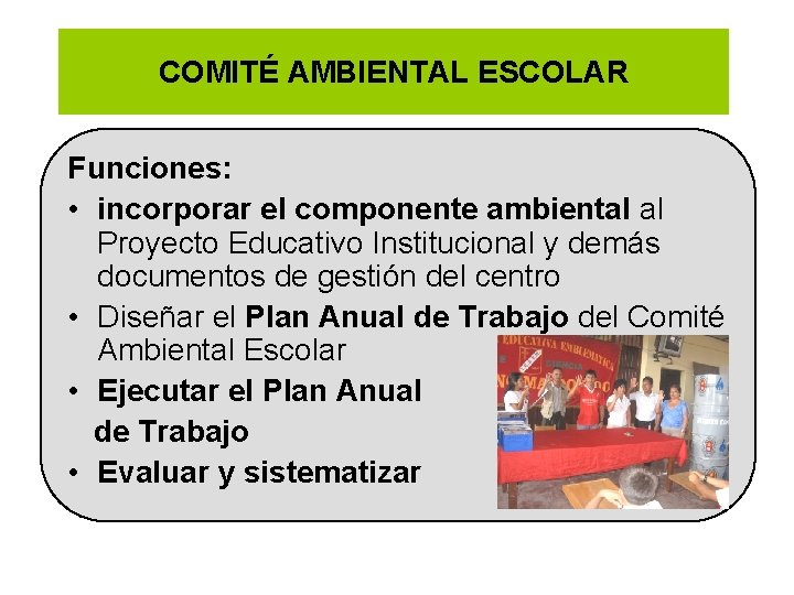 COMITÉ AMBIENTAL ESCOLAR Funciones: • incorporar el componente ambiental al Proyecto Educativo Institucional y