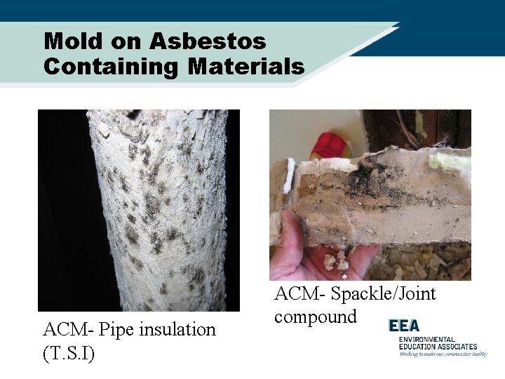 Mold on Asbestos Containing Materials ACM- Pipe insulation (T. S. I) ACM- Spackle/Joint compound