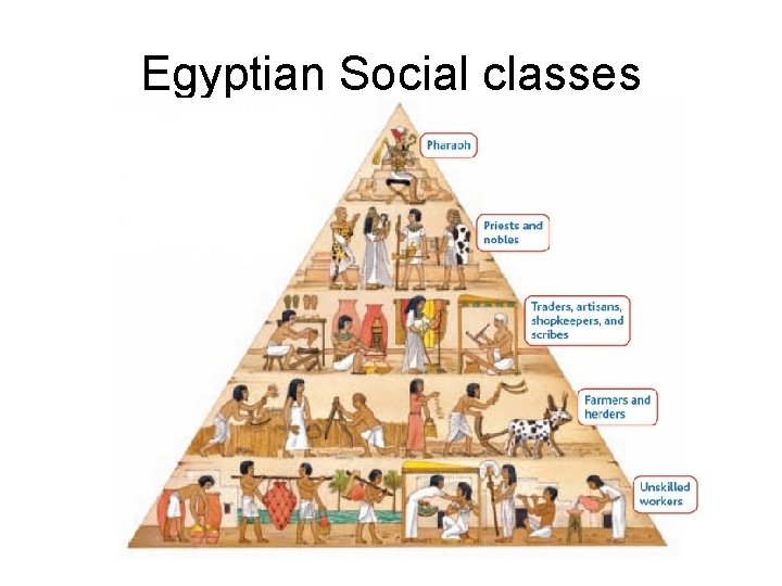 Egyptian Social classes 