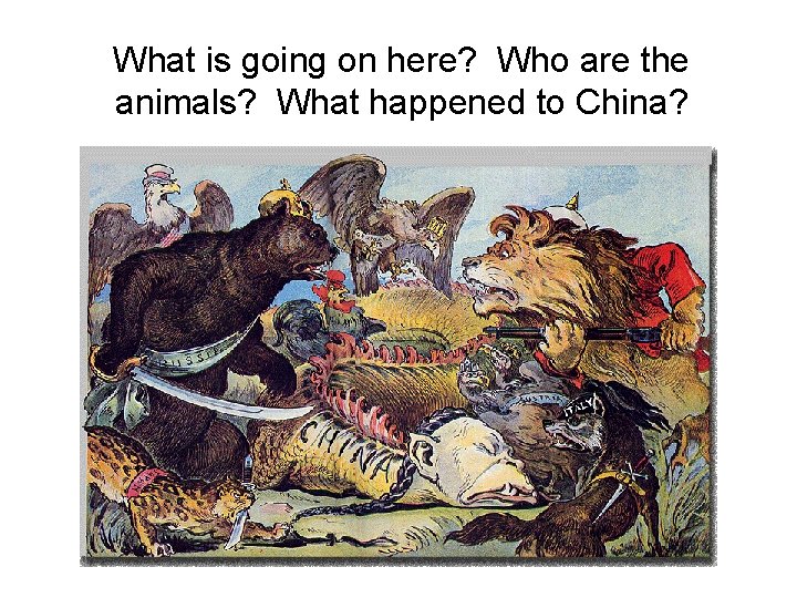 What is going on here? Who are the animals? What happened to China? 