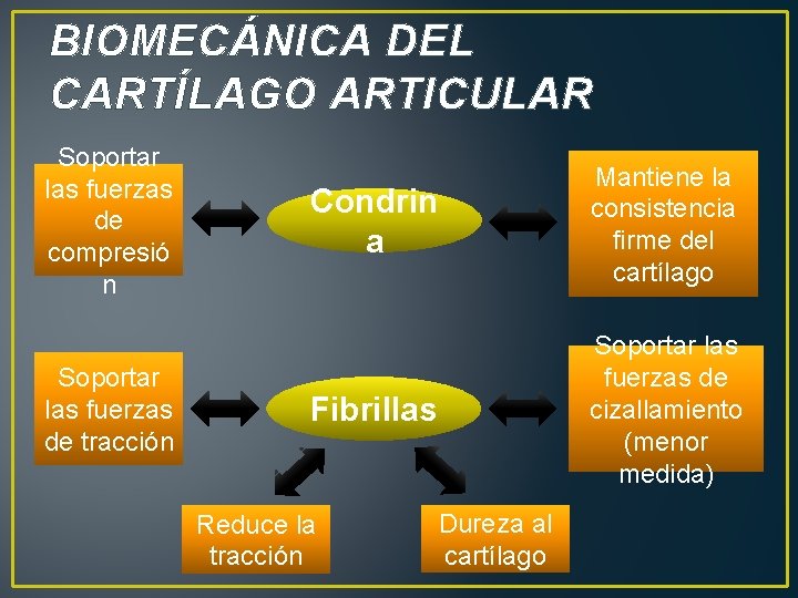 BIOMECÁNICA DEL CARTÍLAGO ARTICULAR Soportar las fuerzas de compresió n Soportar las fuerzas de