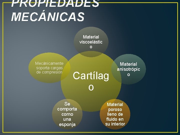 PROPIEDADES MECÁNICAS Material viscoelástic o Mecánicamente soporta cargas de compresión Cartílag o Se comporta