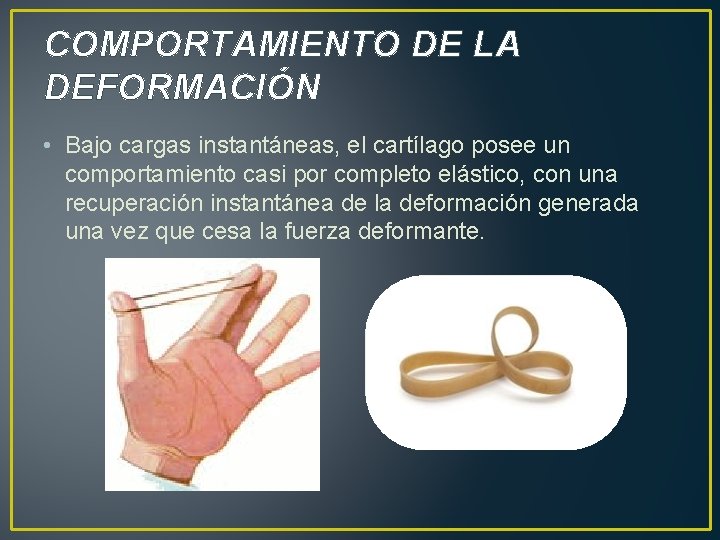 COMPORTAMIENTO DE LA DEFORMACIÓN • Bajo cargas instantáneas, el cartílago posee un comportamiento casi