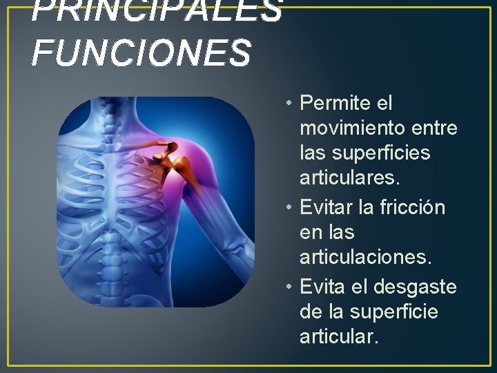 PRINCIPALES FUNCIONES • Permite el movimiento entre las superficies articulares. • Evitar la fricción