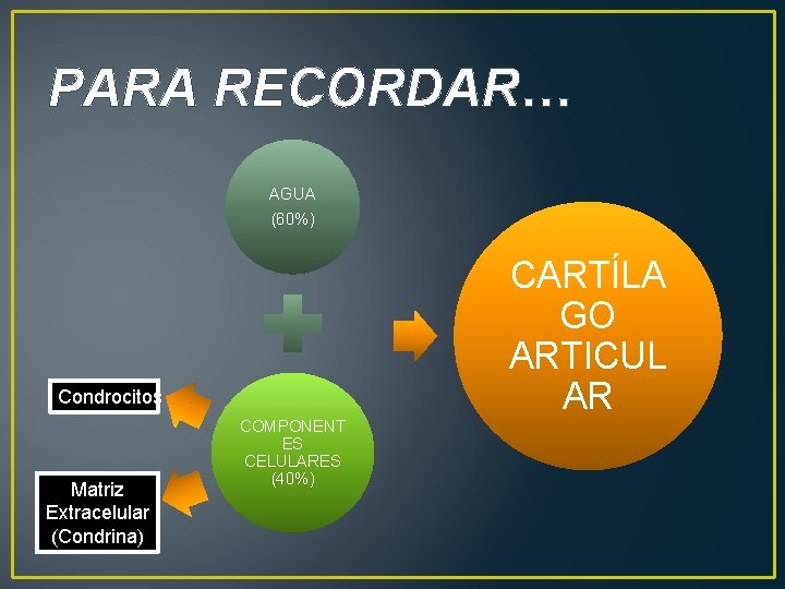 PARA RECORDAR… AGUA (60%) CARTÍLA GO ARTICUL AR Condrocitos Matriz Extracelular (Condrina) COMPONENT ES