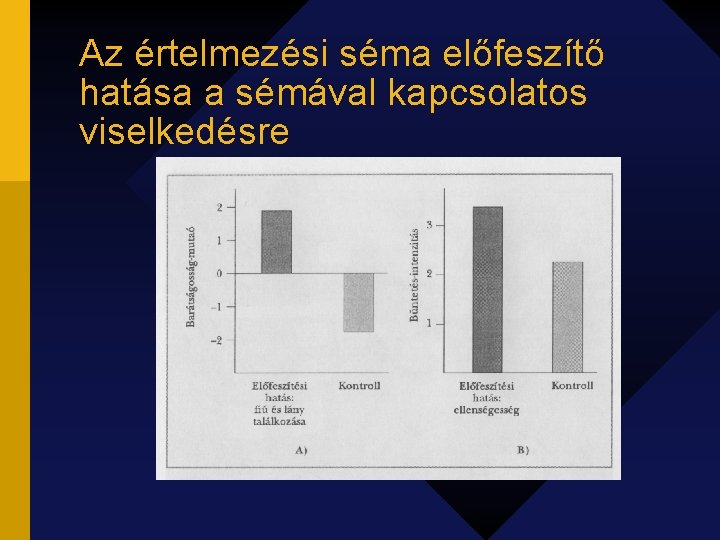 Az értelmezési séma előfeszítő hatása a sémával kapcsolatos viselkedésre 