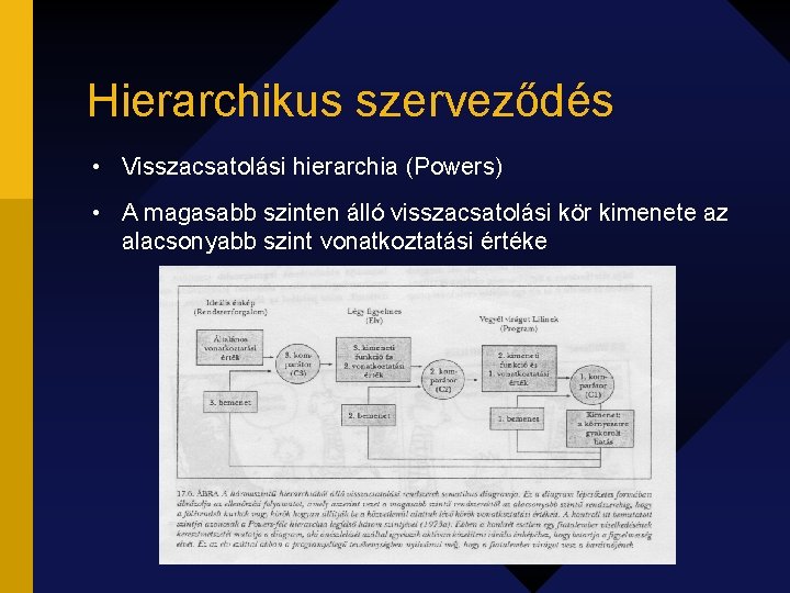 Hierarchikus szerveződés • Visszacsatolási hierarchia (Powers) • A magasabb szinten álló visszacsatolási kör kimenete