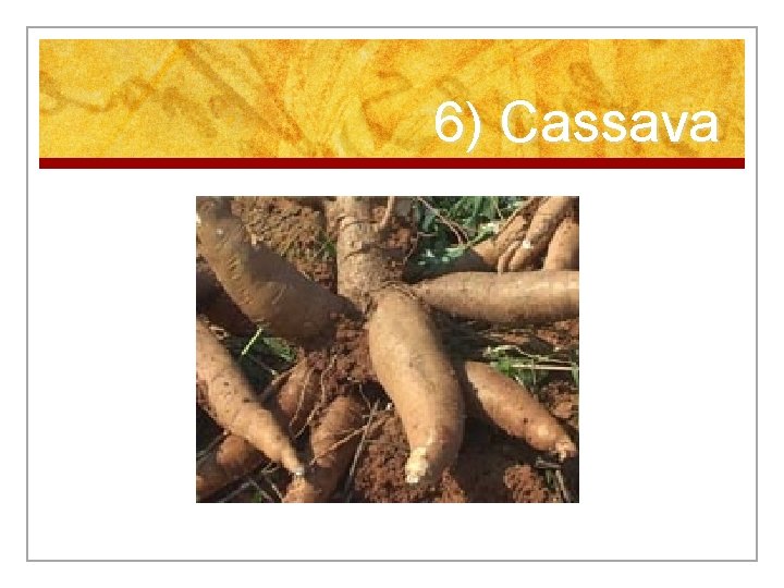 6) Cassava 