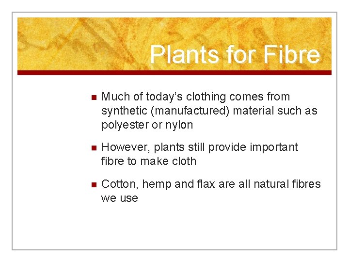 Plants for Fibre n Much of today’s clothing comes from synthetic (manufactured) material such